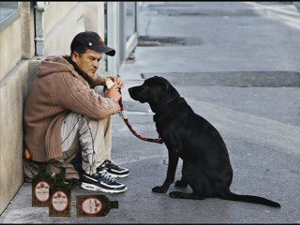 tunisie, tunisia, toufik ben brik, tounes, tunis