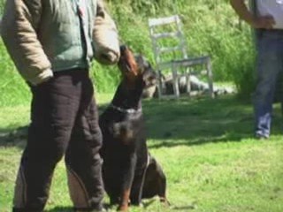 TC Annz-Lex de Furioso