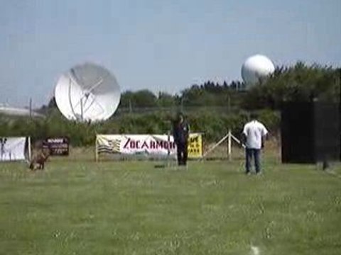 Concours de Ring le 30 et 31 Mai 2009