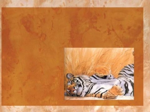 ВЕНЕЦИАНСКАЯ ШТУКАТУРКА мастер классы ДЕКОРАТИВНАЯ ФРЕСКА авторские курсы Киев sites.google.com/site/artfrescodecor/ Artfresco&Decor™Киев - Творческая Мастерская Декора предлагает мастер - классы по Декорированию и Нанесению Декоративной