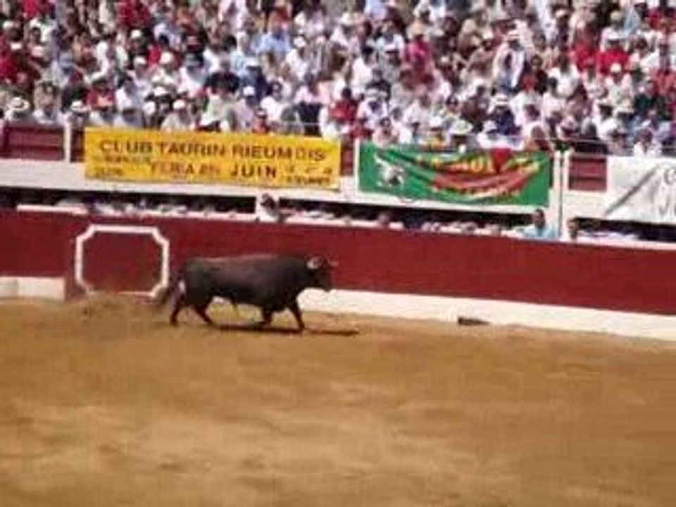 palha concours vic 2009