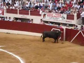 fuente ymbro concours vic 2009