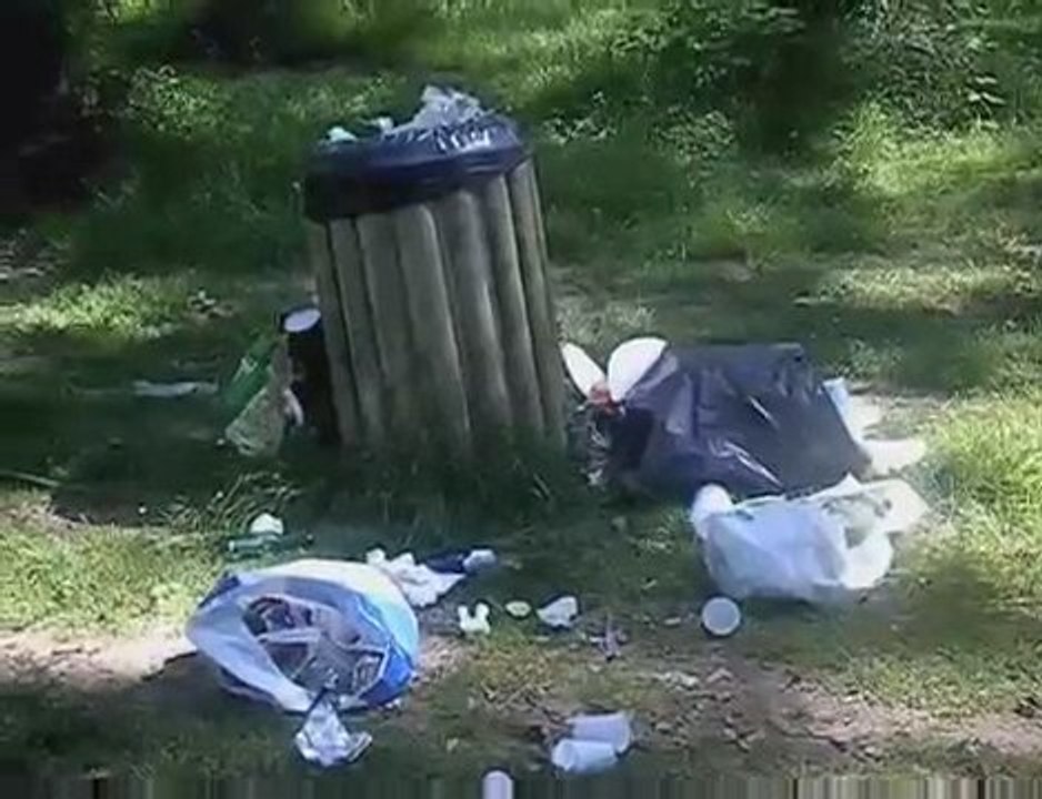 Bordères sur l'Echez bois du commandeur