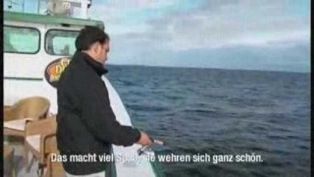 Tranquility boat tour