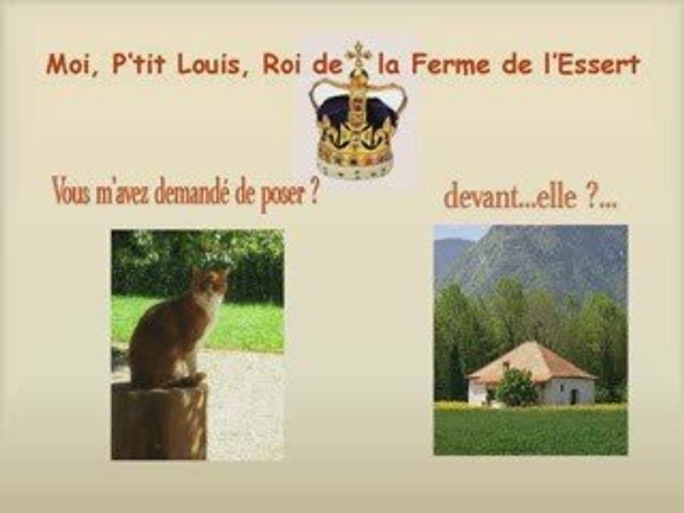 MOI, P'TIT LOUIS, ROI DE LA FERME DE L'ESSERT_1
