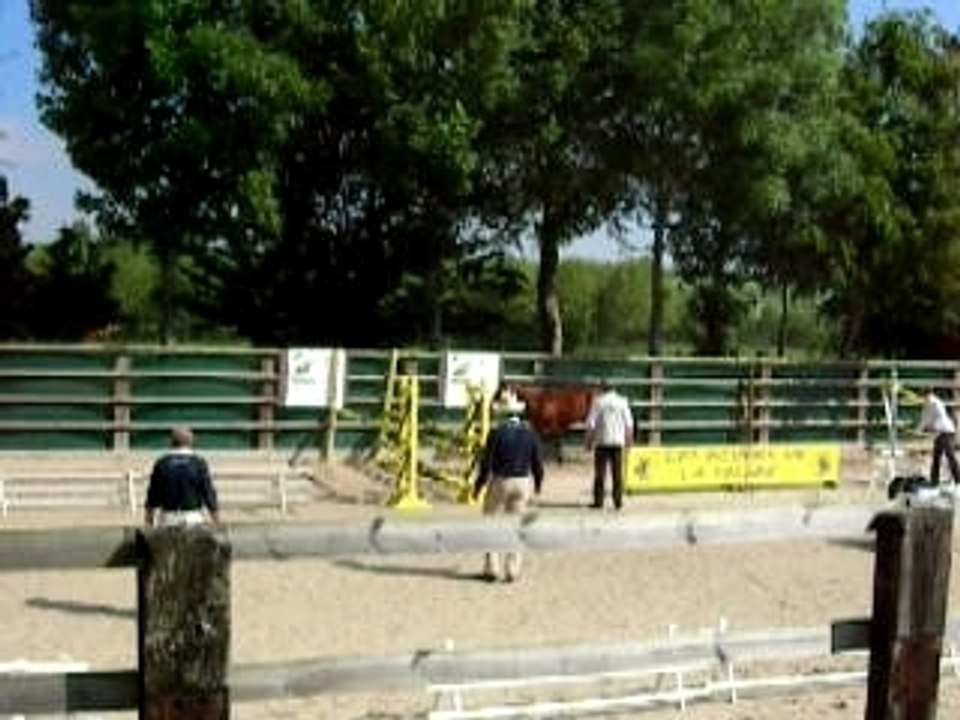 TOSCANE 2 ans DEMUIN 003
