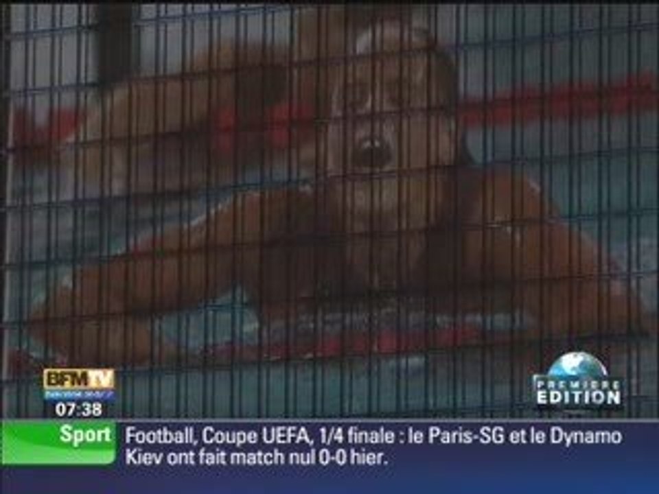 "L'Equipe s'affiche sur la BNF" (BFM TV - 2009-04-10)