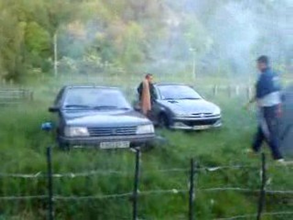 Barbecue 206 WRC Ragnotti poulet merguez steak chipo