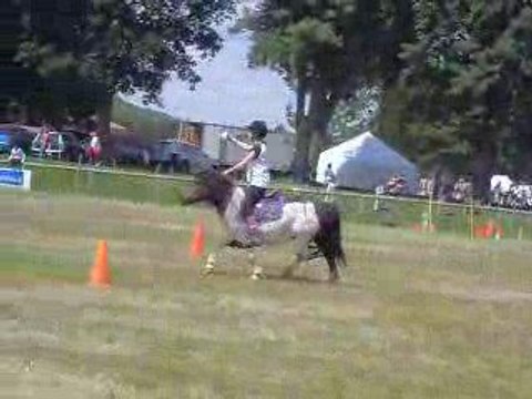 2 tasses le 1 juin 2009 pony games