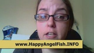 Transform Your Angel Fish