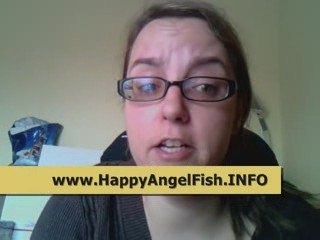 Transform Your Angel Fish