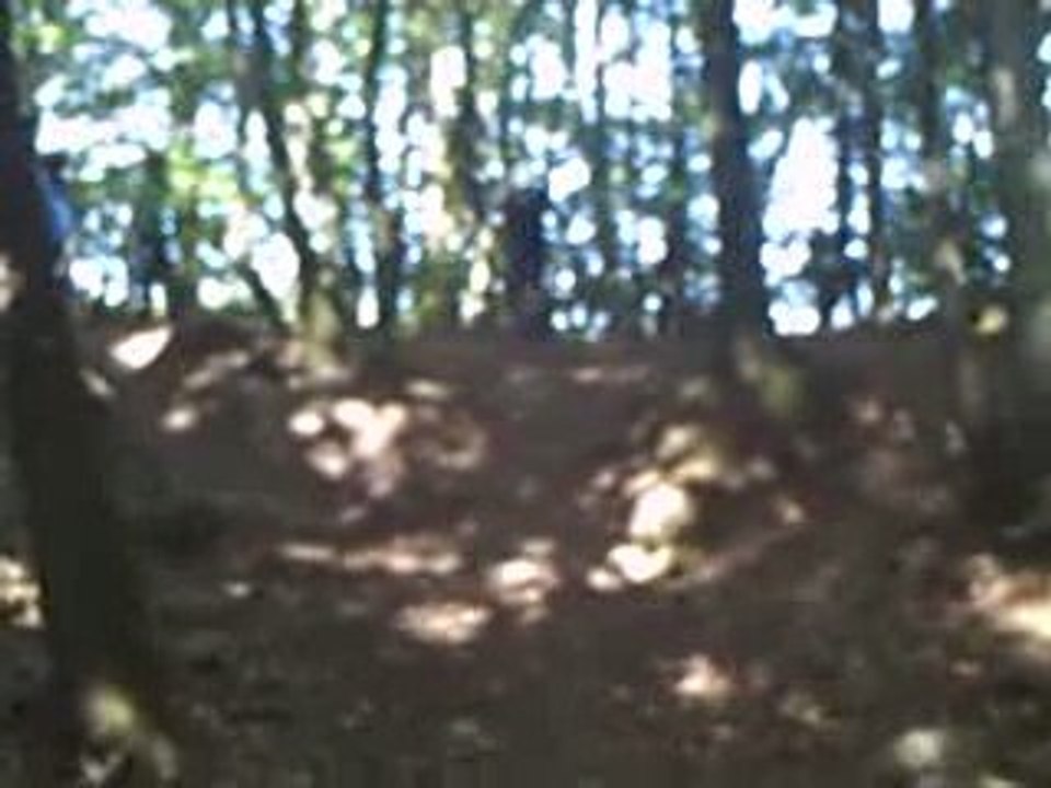 CLIP0291