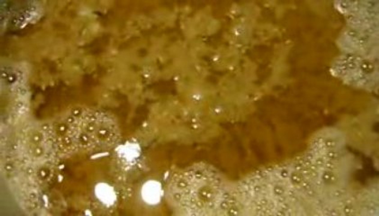 P1000899_xvid