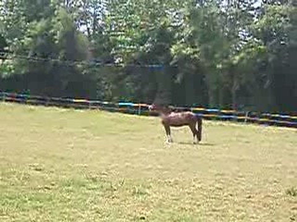 Vinnie n'a pas d'amis =p