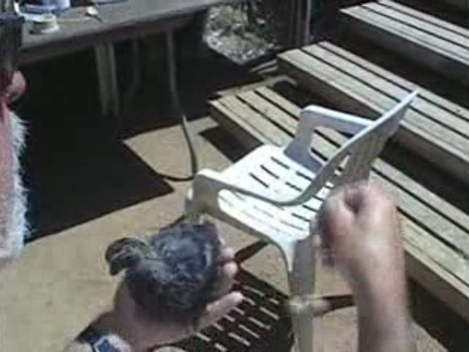 Find gender of your Pets