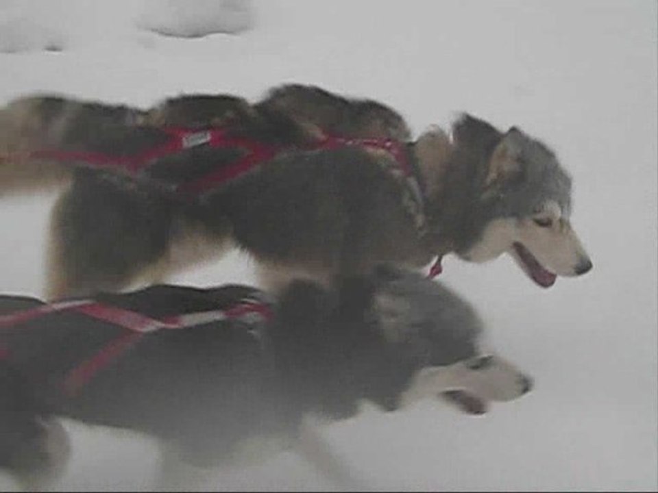 Tempête