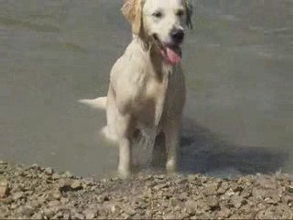 Diva et Dora à l'étang