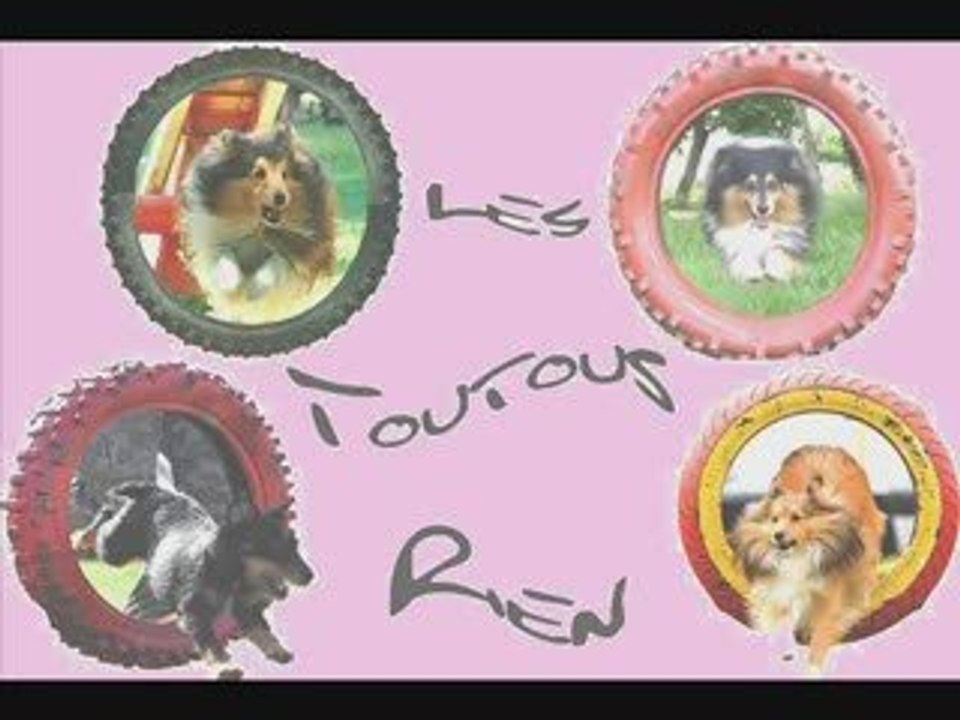 Les toutous rien Trophée grande region sud-ouest 2009