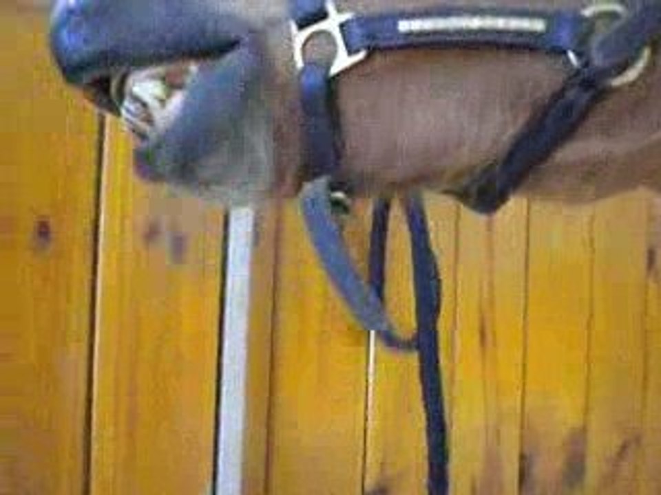 Comme s'il connaissait pas assez de couneries ^^