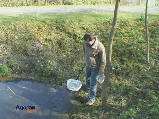 UN DRAGON DANS MON JARDIN