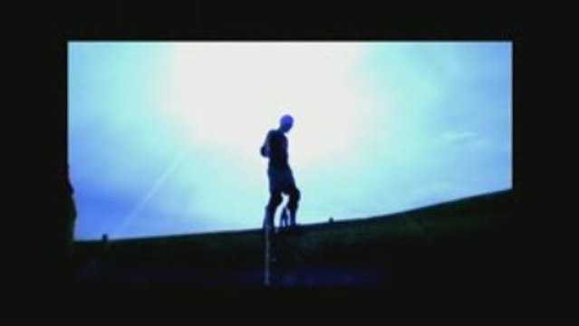 bul'rise échasses urbaines