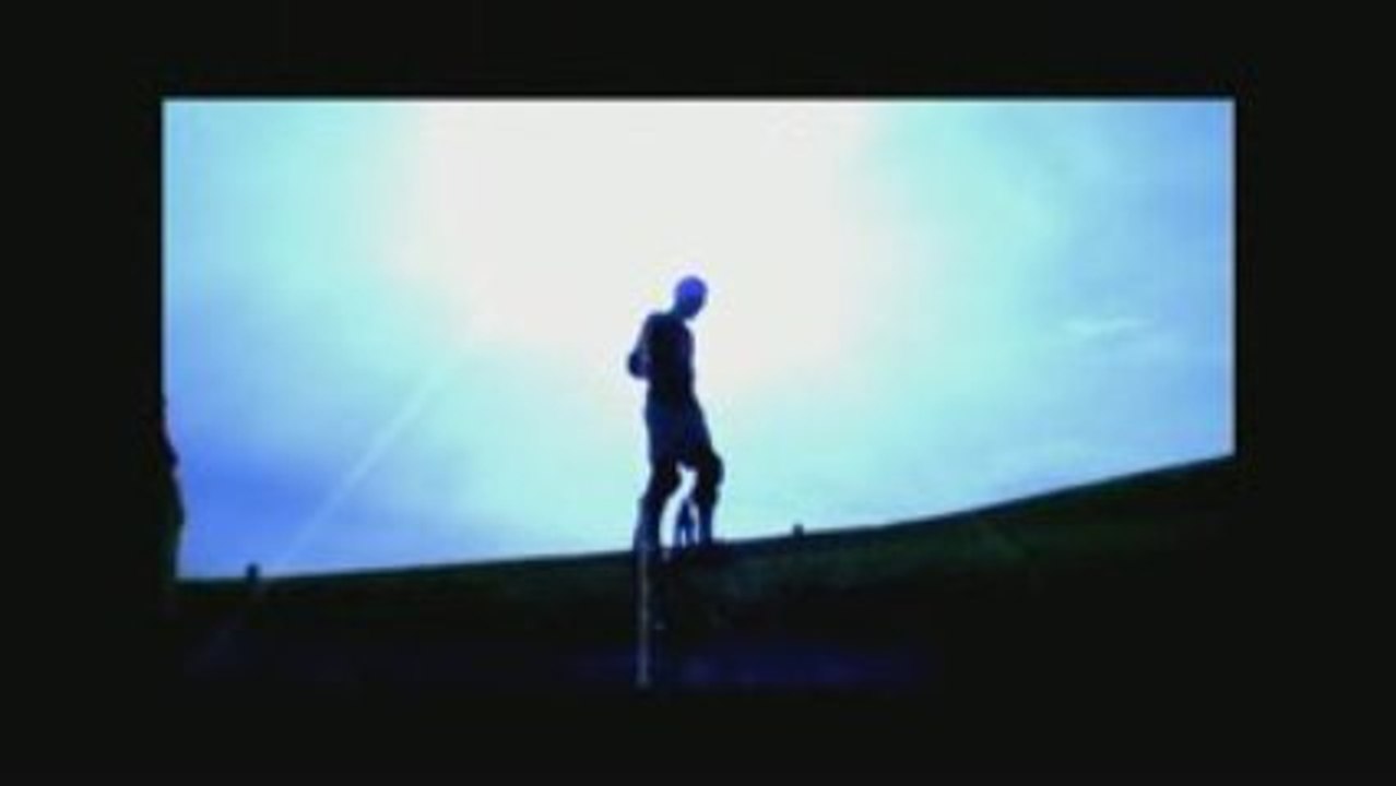 bul'rise échasses urbaines