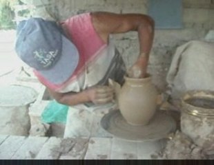 Bonsai Magico - Bunjin - Video 21 - bonsaimagicobunjin.com