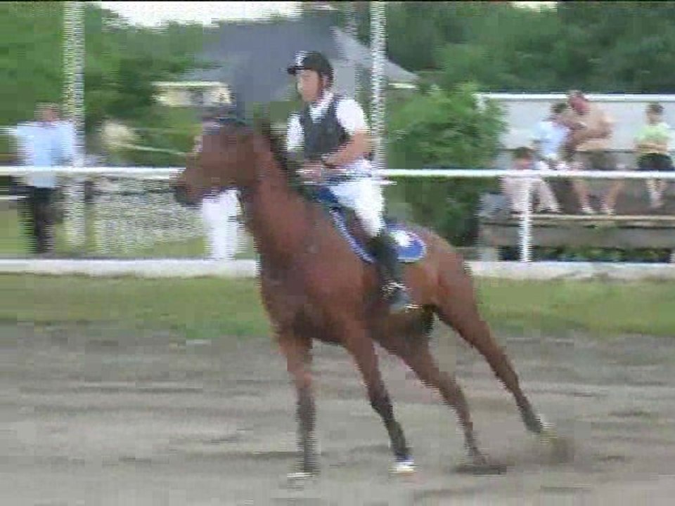 David Harm, Springreiten, Kottingbrunn (2008-065)