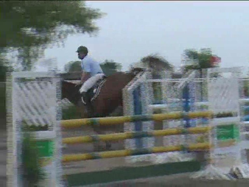 Herbert Paintner, Springreiten, Kottingbrunn (2008-067)