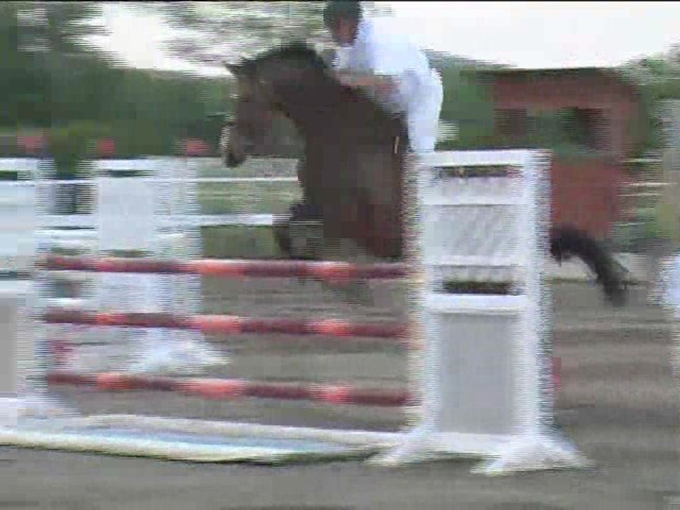 Franz Kinast, Springreiten, Kottingbrunn (2008-069)