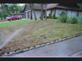 McDaniels Sod Services - Sod Services Jacksonville FL