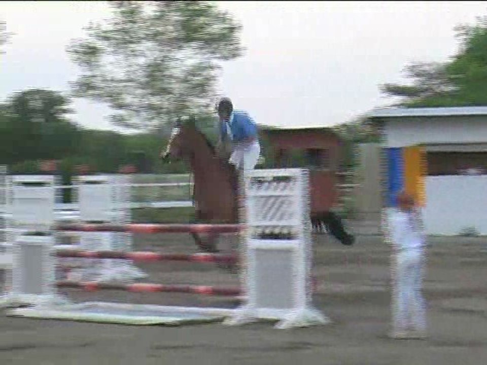 Alfred Fischer, Springreiten, Kottingbrunn (2008-071)