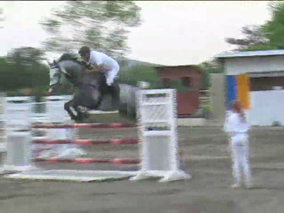 Erich Metzl, Springreiten, Kottingbrunn (2008-073)