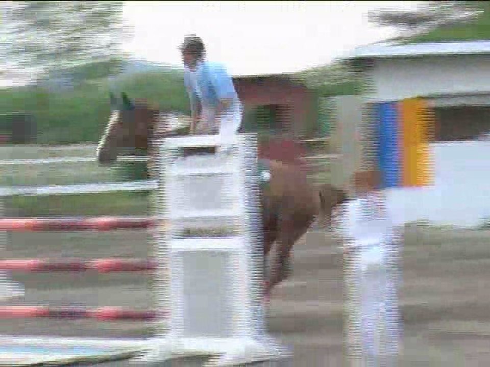 Georg Täuber, Springreiten, Kottingbrunn (2008-075)