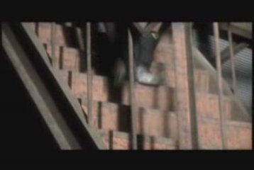 12012 - [PV] DIAMOND