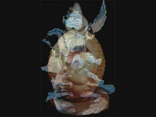 Renato Dorfman Welcomes you to his website