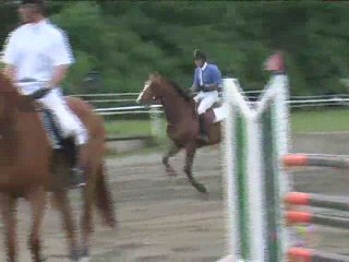 Jozsef Raatz, Springreiten, Kottingbrunn (2008-078)