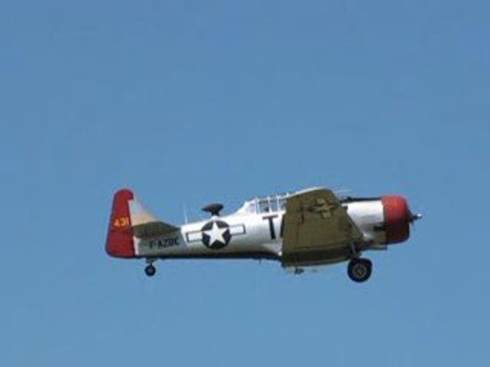 Meeting Ferté Alais 2009