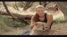 VW Golf Cheetah advert