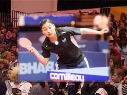 Championnats de France Seniors Tennis de Table Dreux