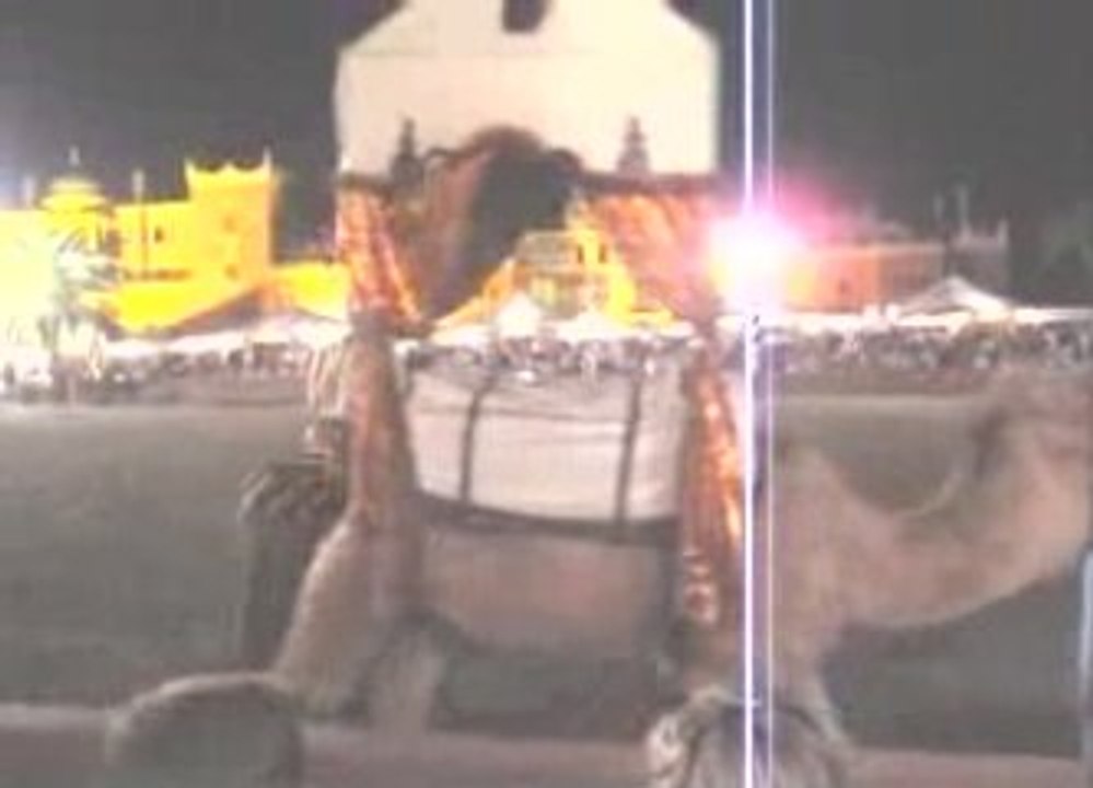 chez Ali Belfellah, la soirée Fantasia!