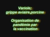 Pandémie vaccinale et grippe A h1n1