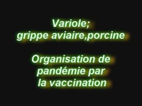 Pandémie vaccinale et grippe A h1n1