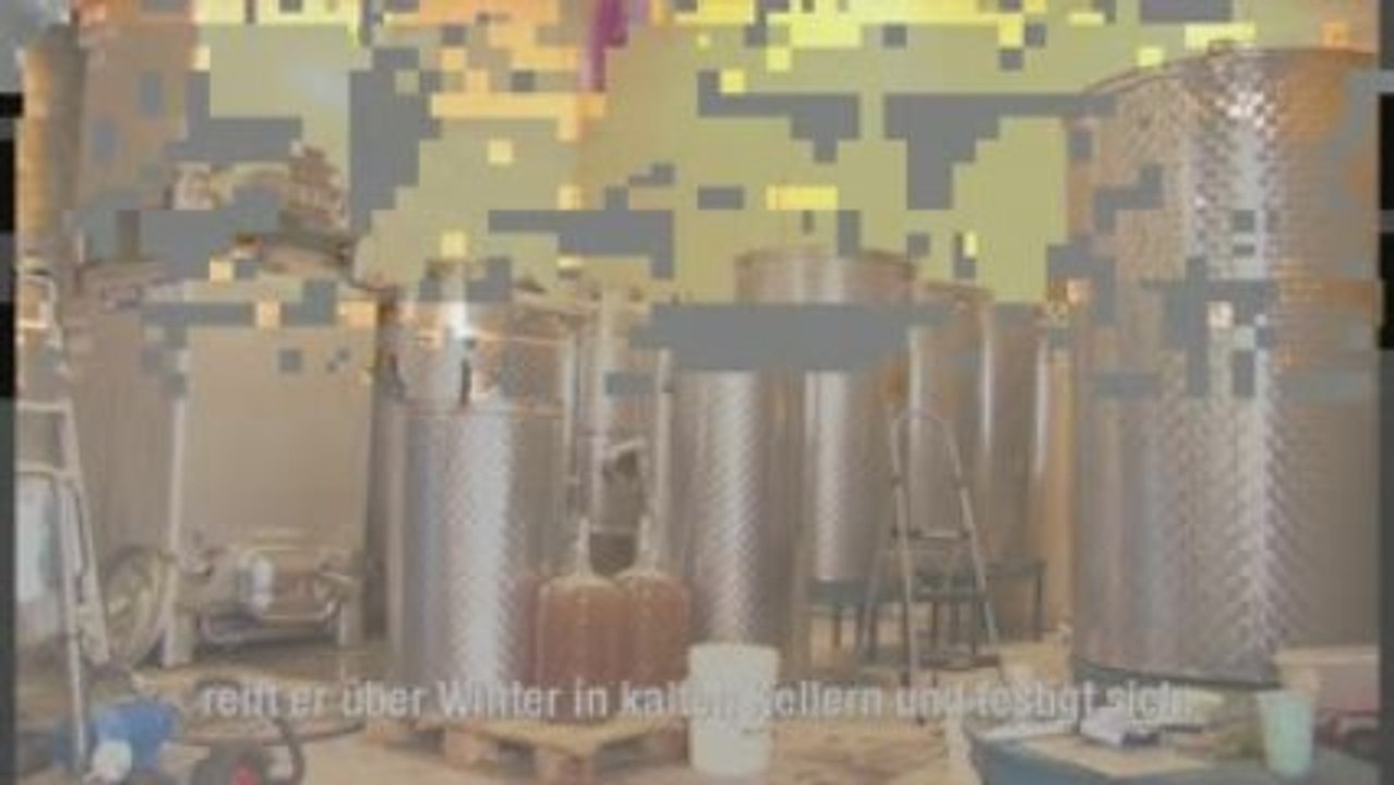 Die L'Acadie Weingärten in Gasperau, Nova Scotia