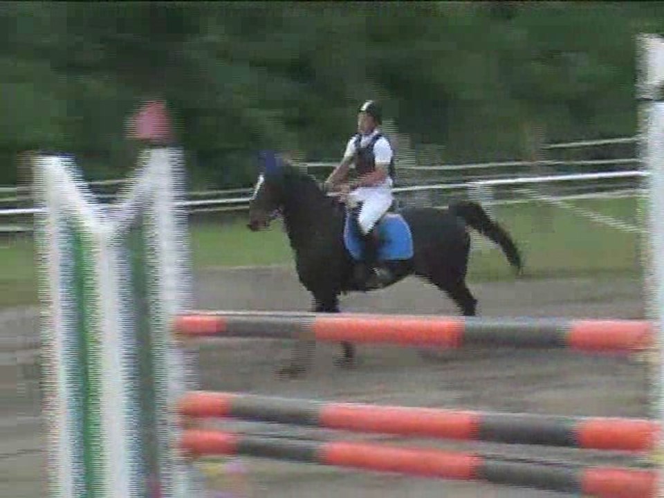 David Harm, Springreiten, Kottingbrunn (2008-081)