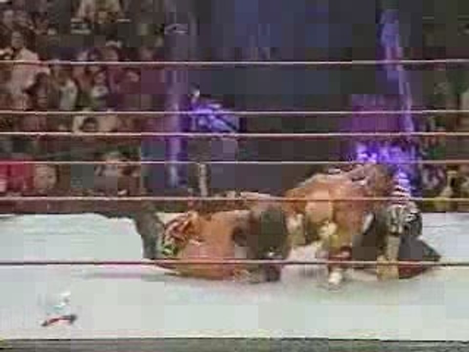 Royal Rumble 2000  Y2J vs Chyna vs Hardcore Holly