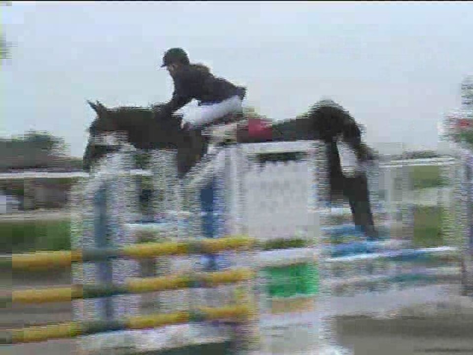 Cornelia Zwinz, Springreiten, Kottingbrunn (2008-082)