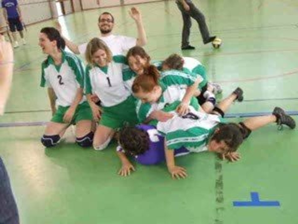 Les bêtisieres du V-b