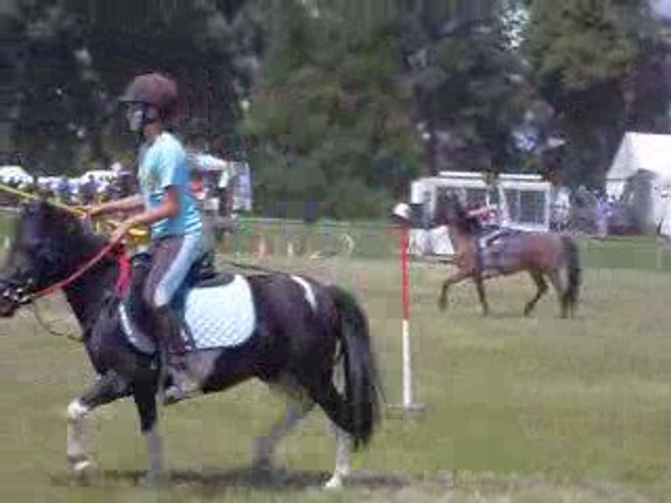 2 drapeaux le 1 juin 2009 pony games