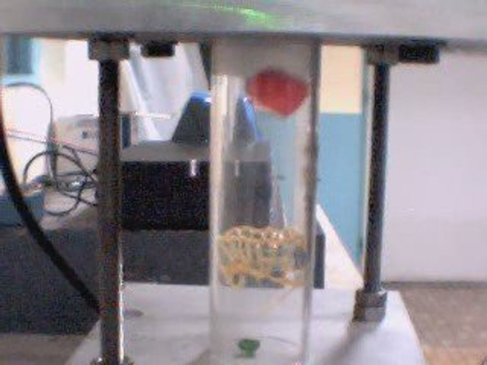 Levitation bouchon 0,26g